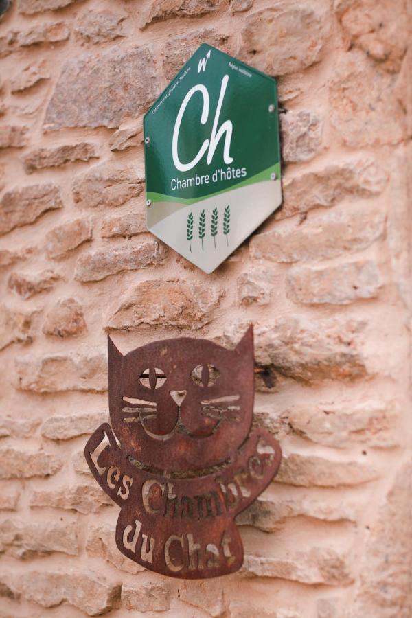 Les Chambres Du Chat Sainte-Cecile Exterior photo