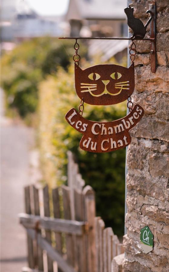 Les Chambres Du Chat Sainte-Cecile Exterior photo